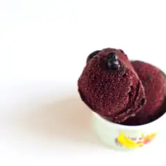 Coppetta con sorbetto ai mirtilli, guarnito con alcuni mirtilli freschi. Freschezza e gusto in ogni cucchiaiata.