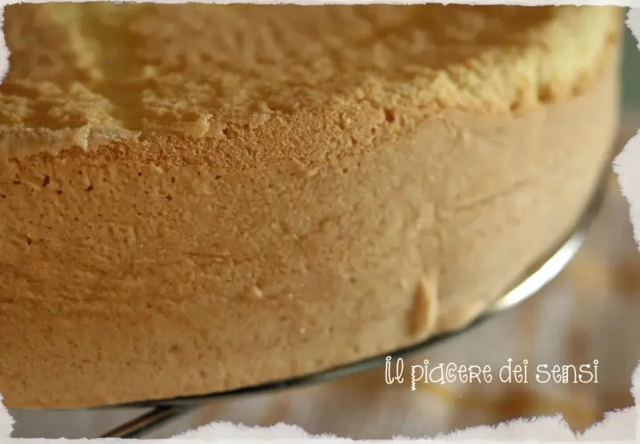 Un soffice pan di spagna dorato, pronto per essere farcito. La sua texture alveolata promette un piacere dei sensi.