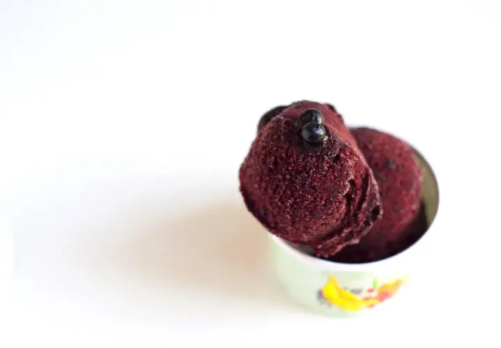 Coppetta con sorbetto ai mirtilli, guarnito con alcuni mirtilli freschi. Freschezza e gusto in ogni cucchiaiata.