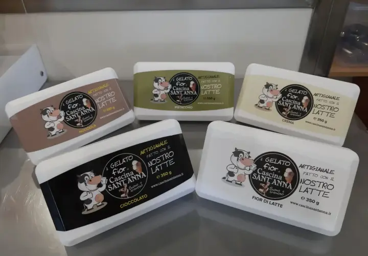 Cinque vaschette di gelato artigianale ricetta, con mucca sorridente: nocciola, pistacchio, crema, cioccolato e fior di latte.