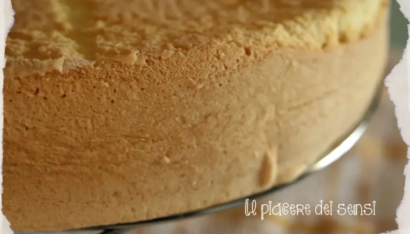 Un soffice pan di spagna dorato, pronto per essere farcito. La sua texture alveolata promette un piacere dei sensi.