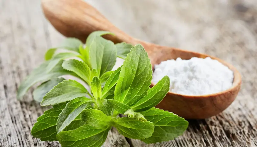 Foglie verdi di stevia accanto a un cucchiaio di legno con polvere bianca. Una dolce alternativa: quanta stevia al posto dello zucchero!
