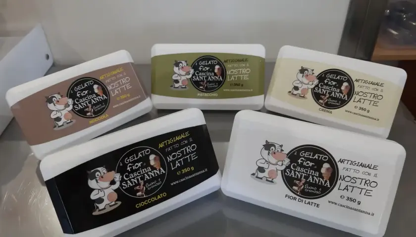Cinque vaschette di gelato artigianale ricetta, con mucca sorridente: nocciola, pistacchio, crema, cioccolato e fior di latte.