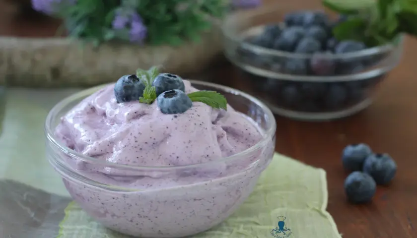 Delizioso gelato ai mirtilli fatto in casa con gelatiera, guarnito con mirtilli freschi e menta.
