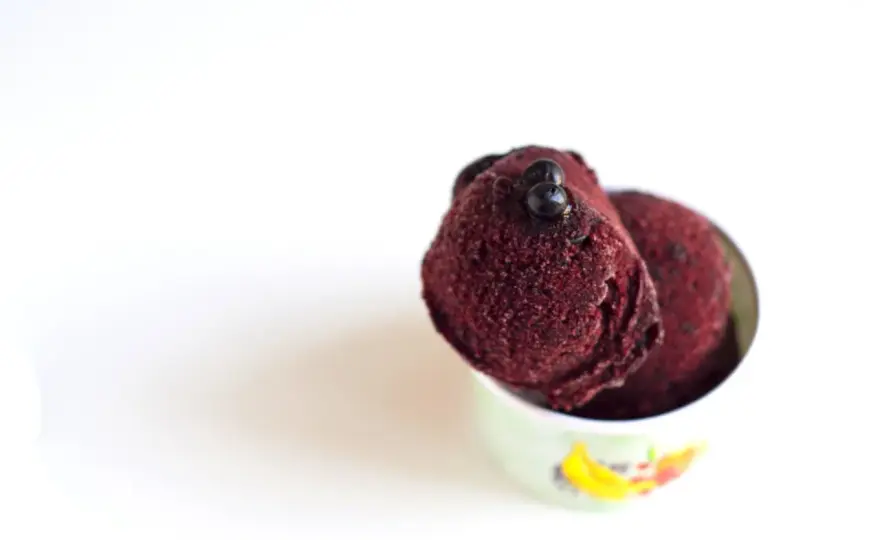 Sorbetto ai mirtilli perfetto - La ricetta che funziona