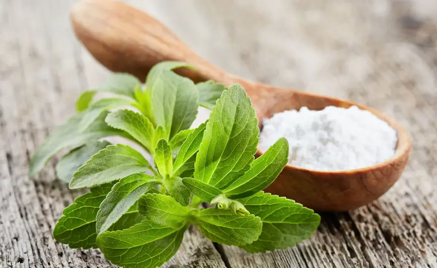 Quanta stevia al posto dello zucchero? La guida definitiva