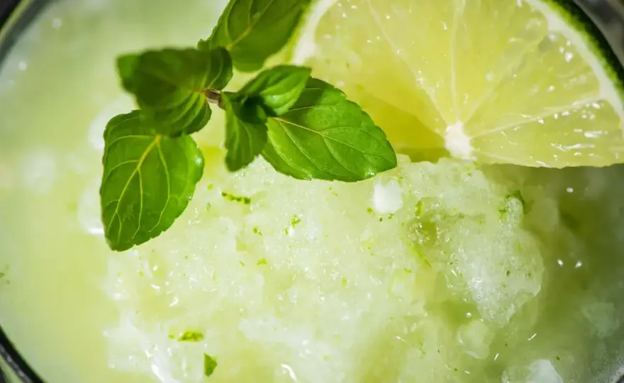 Granita alla Menta Fatta in Casa - La Ricetta Perfetta