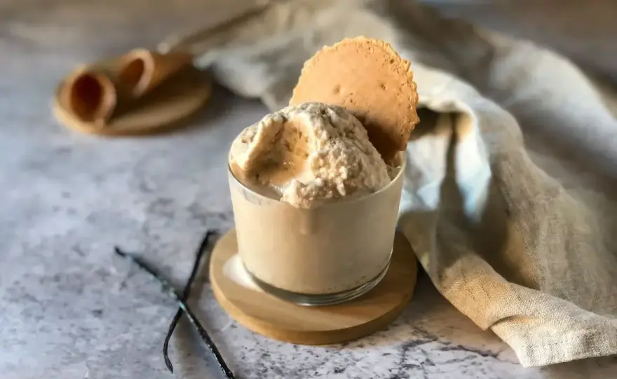 Gelato con Panna Vegetale - La Guida Definitiva
