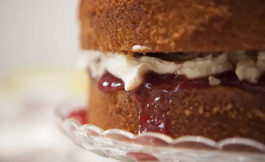 Torta con marmellata perfetta - La guida definitiva