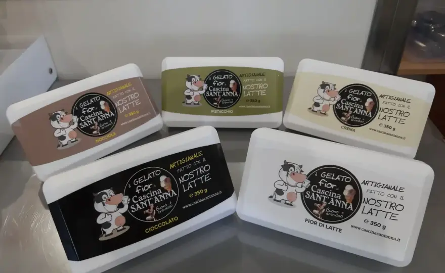 Gelato Artigianale Perfetto - La Ricetta Fiordilatte