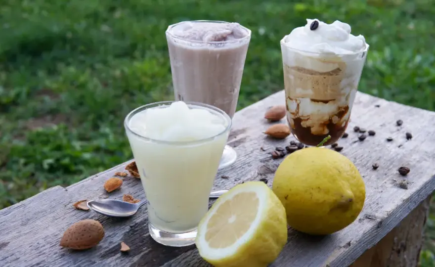 Granita siciliana con gelatiera - La ricetta perfetta