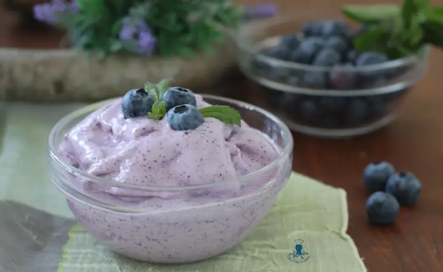 Gelato ai mirtilli con gelatiera - La ricetta cremosa