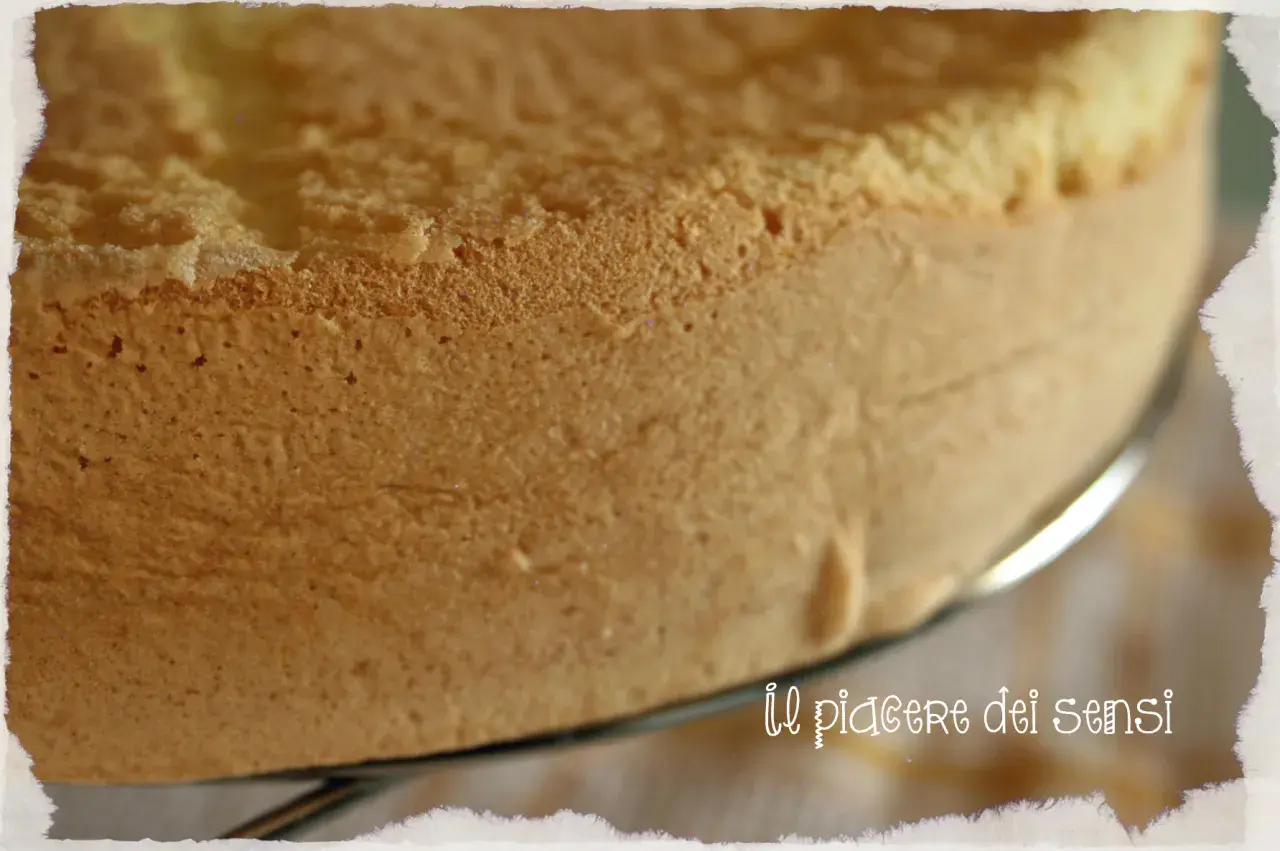 Un soffice pan di spagna dorato, pronto per essere farcito. La sua texture alveolata promette un piacere dei sensi.
