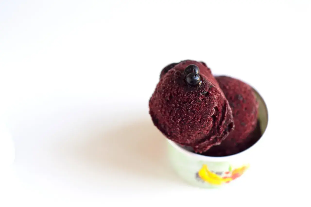 Coppetta con sorbetto ai mirtilli, guarnito con alcuni mirtilli freschi. Freschezza e gusto in ogni cucchiaiata.