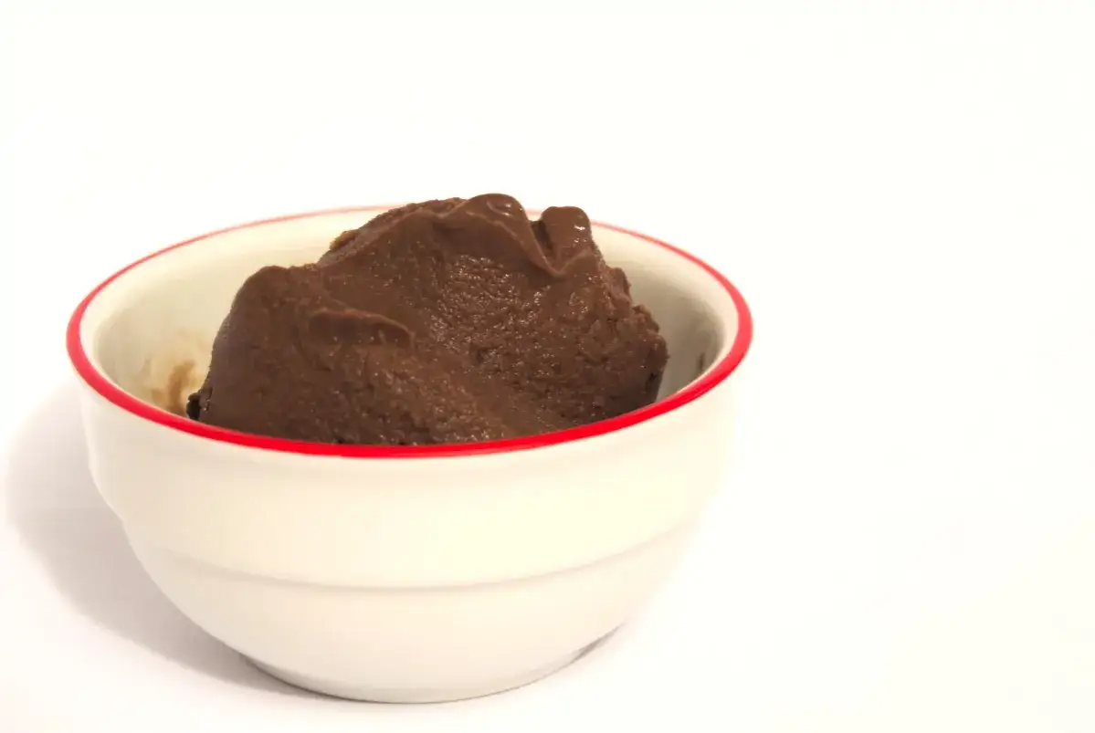 Una ciotola bianca con bordo rosso contiene una generosa porzione di cremoso sorbetto al cioccolato, pronto per essere gustato.