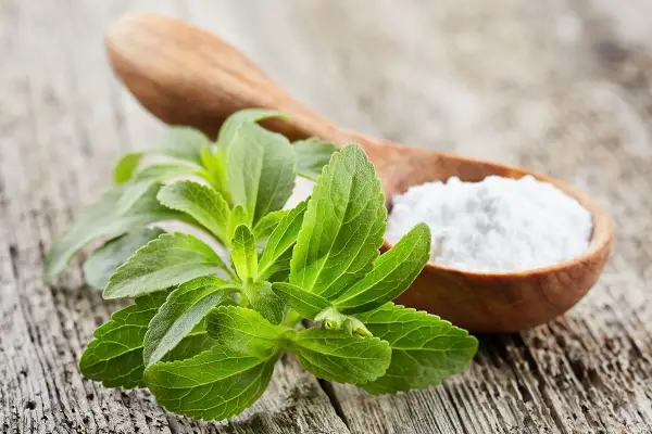 Foglie verdi di stevia accanto a un cucchiaio di legno con polvere bianca. Una dolce alternativa: quanta stevia al posto dello zucchero!