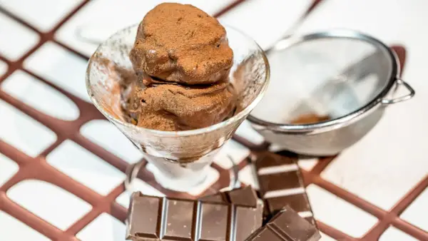 Coppetta di gelato al cioccolato spolverata di cacao, con tavolette di cioccolato e colino sullo sfondo.